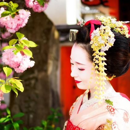 中村雅樹が撮影した「:albumName」の写真