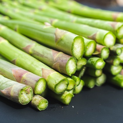 oryo studioが撮影したウェディングや家族、ビジネスの写真