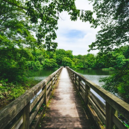 岡田　哲昇が撮影したその他/イベント/スナップ撮影の写真