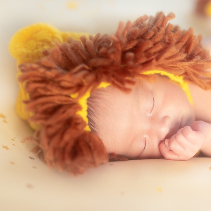 合同会社PHOTO FACTORY LARが撮影した「:albumName」の写真