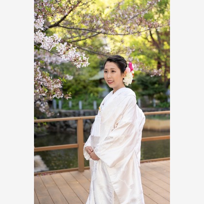 Photo of :albumName taken by ArsTect LLC