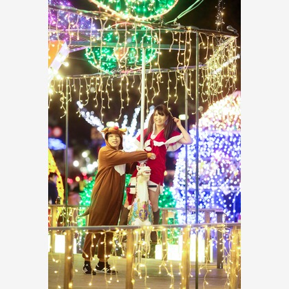 KIKIウェディングが撮影したウェディングや家族、ビジネスの写真