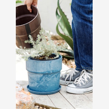 Yoppegraphy Photographic Serviceが撮影した「:albumName」の写真