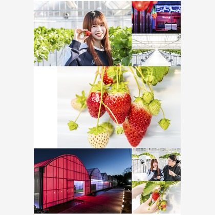 吉田寿仁が撮影した「:albumName」の写真