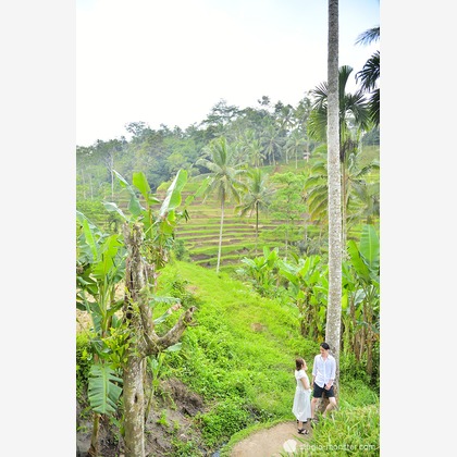 studio MONSTER（小原 実）が撮影した「:albumName」の写真