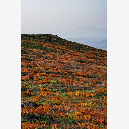 登 将紀が撮影したその他/イベント/スナップ撮影の写真