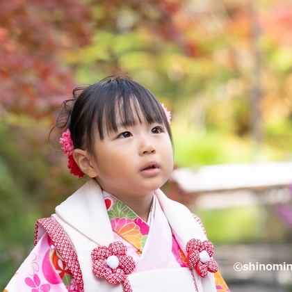 しのみんこフォトが出張撮影した家族写真(キッズ,ベビーフォト)などが写った「七五三フォト」の家族写真