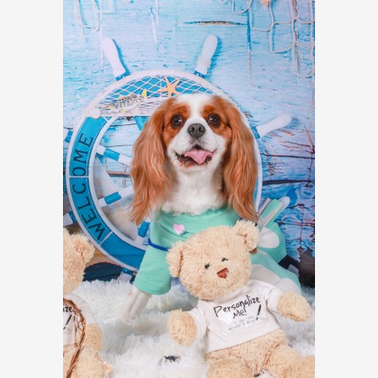 WithshopJapanが撮影した「ペット撮影」の写真