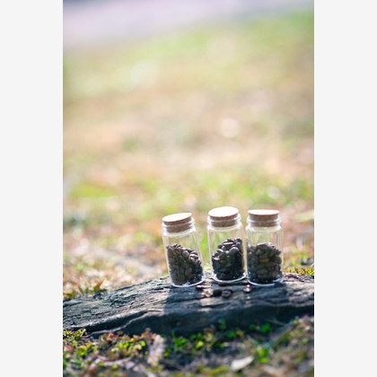 濱野まり子が撮影した商品/物撮りの写真