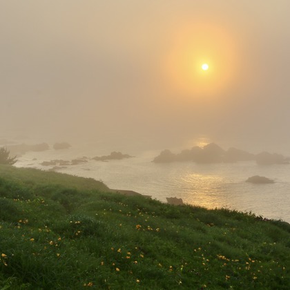 TATEZOUが撮影したイベント/スナップ撮影の写真
