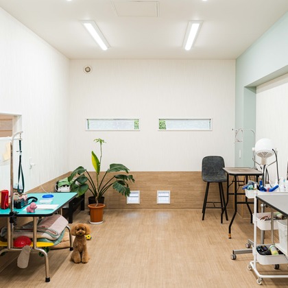 桜庭ゆいが撮影した「:albumName」の写真