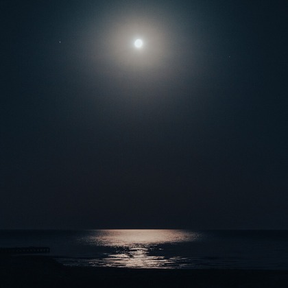 田近　ひとみが撮影した「:albumName」の写真