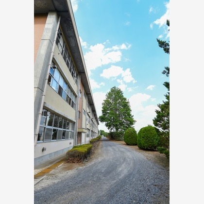 オフィス 芦野が撮影したウェディングや家族、ビジネスの写真