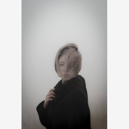 ならもとかずやが撮影した「:albumName」の写真