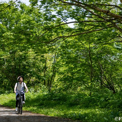 道海史佳が撮影したイベント/スナップ撮影の写真