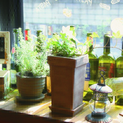 トライアングル.フォトが撮影した「:albumName」の写真