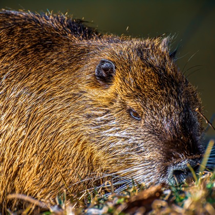 水嶋 将太が撮影した「:albumName」の写真