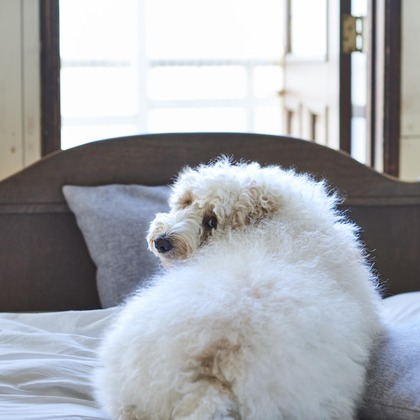 大橋裕紀が撮影した商品/物撮りの写真