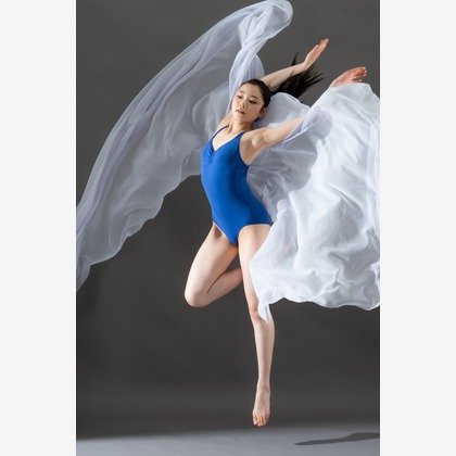 白田光孝が撮影した「:albumName」の写真