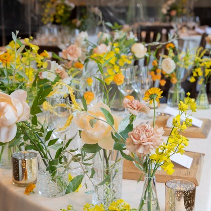 スタジオファンタスが撮影した「:albumName」の写真