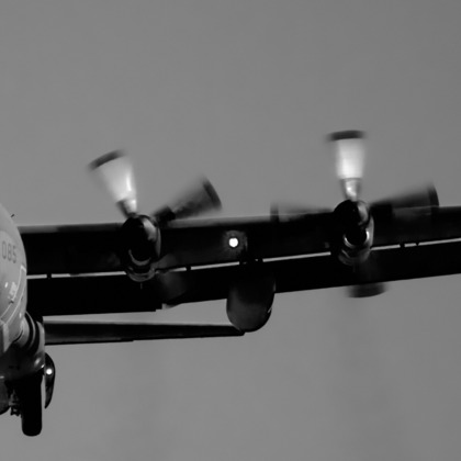 長崎 翔太が撮影した商品/物撮りの写真