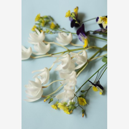 とりる写真室が撮影した商品/物撮りの写真