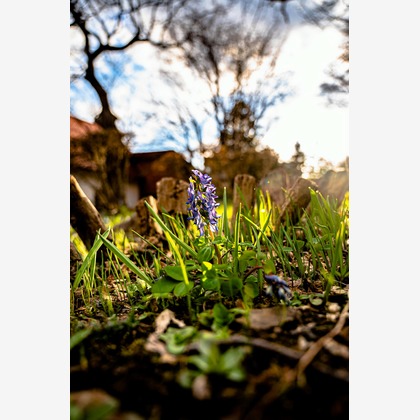 高木勇斗が撮影した「:albumName」の写真