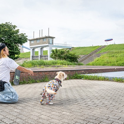 吉田佳央が撮影した「:albumName」の写真