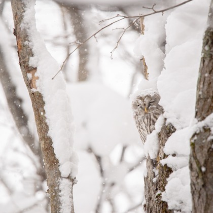 山口奈緒が撮影した「:albumName」の写真