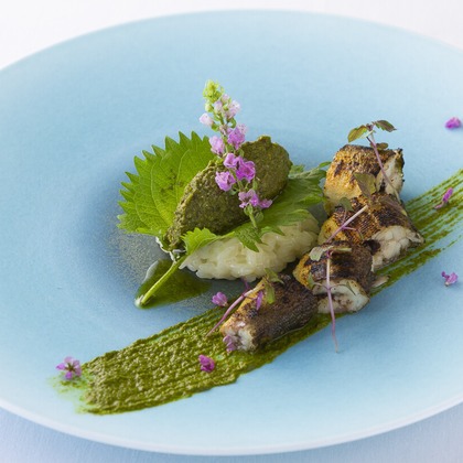 笠井鉄正写真事務所が撮影した「:albumName」の写真