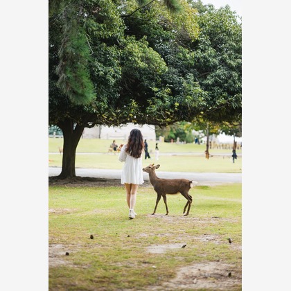 HIBI綴じ写真が撮影した「:albumName」の写真