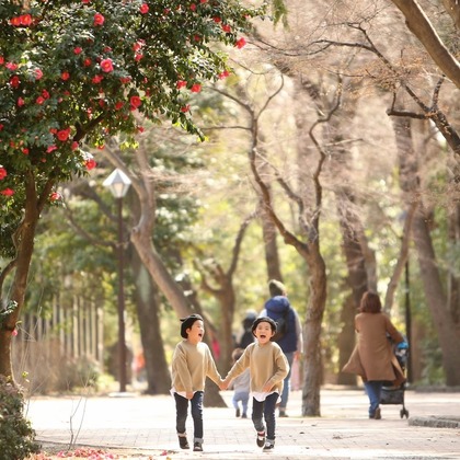 Photographer  Tomoが撮影した家族写真の出張撮影の写真