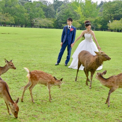 Photo of :albumName taken by Kiki photo works