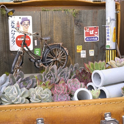 小野和也が撮影した「:albumName」の写真