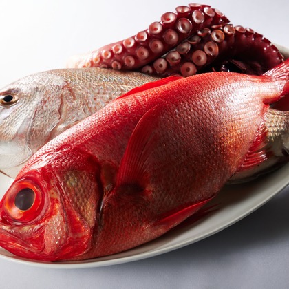 溝口拓が撮影した「:albumName」の写真