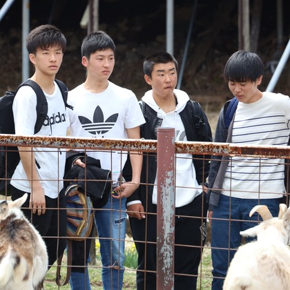 益永淳二写真事務所が撮影した「:albumName」の写真