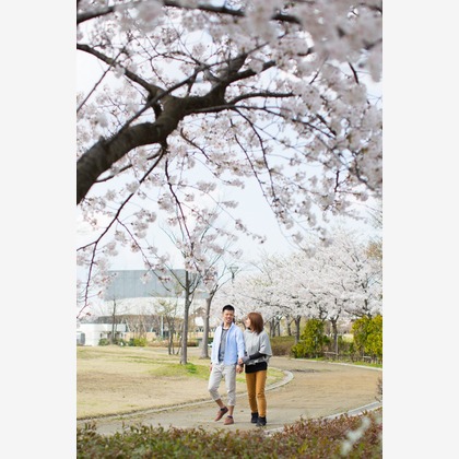 studio HATOYAが撮影した「:albumName」の写真