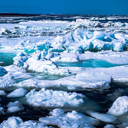 高木勇斗が撮影したその他の写真