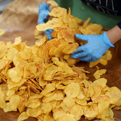 Studio&Gallery Analog　佐伯写真館が撮影した「:albumName」の写真