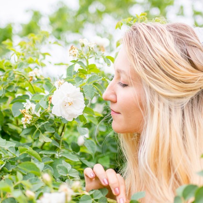 DESIGN STUDIO EEが撮影した「:albumName」の写真