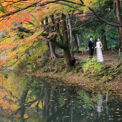 Photo of :albumName taken by Smilehunter