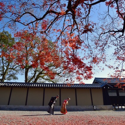 キキフォトワークスが撮影したウェディングや家族、ビジネスの写真