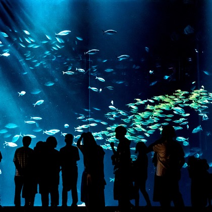 フォトスタジオ　ちっくたっくが撮影したその他の写真