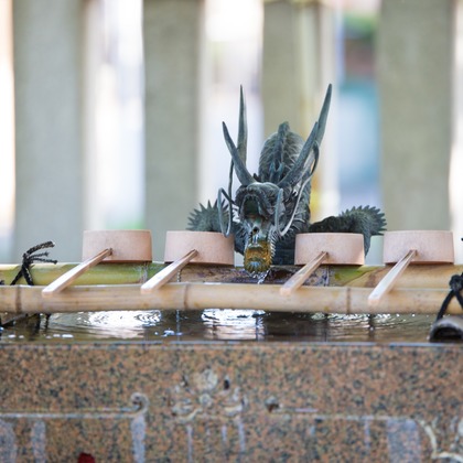 高野和希が撮影した「:albumName」の写真