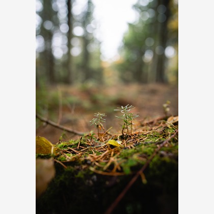 山腰　啓介が撮影したイベント/スナップ撮影/不動産/竣工の写真