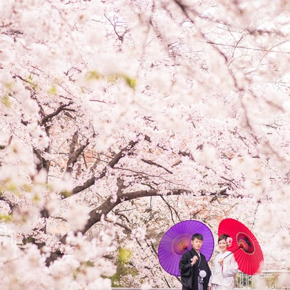 studio zeroが撮影したウェディングや家族、ビジネスの写真