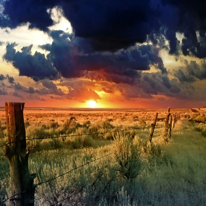 Orihusta photographyが撮影した料理撮影の写真