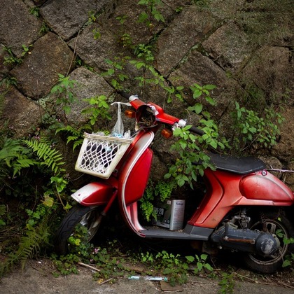 舘　典志が撮影した店舗/オフィス/サロン撮影/イベント/スナップ撮影の写真