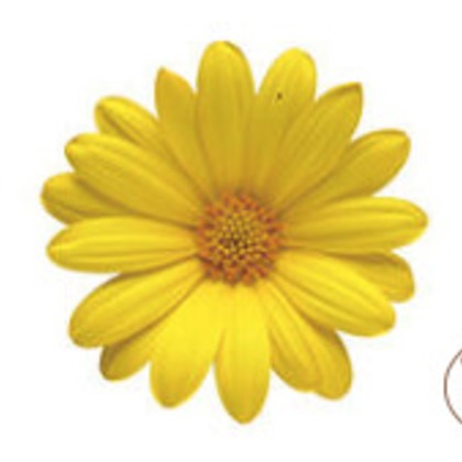 有限会社　澤田スタジオが撮影した「:albumName」の写真