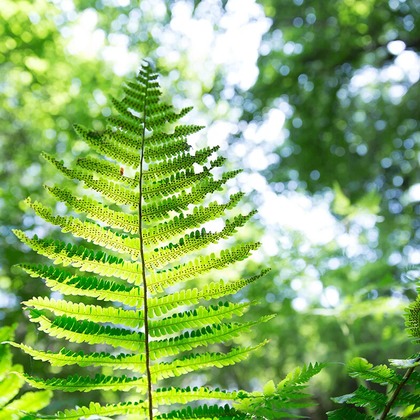 白井由香里写真事務所が撮影した「:albumName」の写真